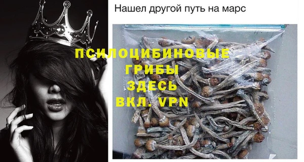 PSILOCYBIN Алексеевка