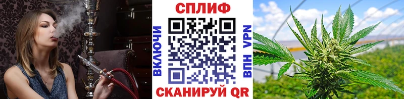 площадка какой сайт  Чердынь  МАРИХУАНА ГИДРОПОН 